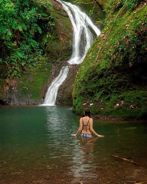 The Needle Hike on Rarotonga - Cook Islands | Rarotonga, Rarotonga cook ...