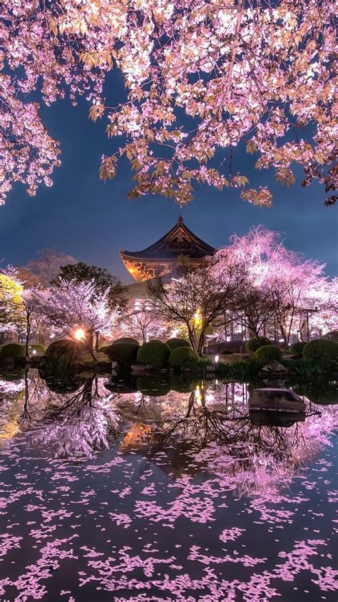 Wallpaper Japan, sakura, trees, pink flowers, night, pond, temple ...