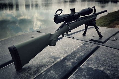 Ruger American Predator 308 Review: Best Budget Bolt Gun?