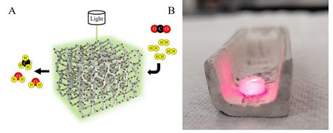 Plasmonic Catalysis – LIU LAB