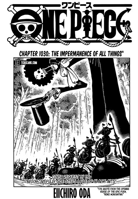 One Piece - Chapter 1030 : The Impermanence of All Things - One Piece ...