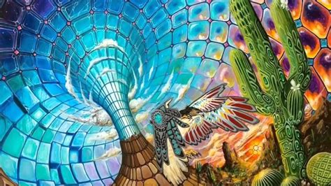 The Divine Psychedelic Cactus - San Pedro, The Star Antennae ! - YouTube