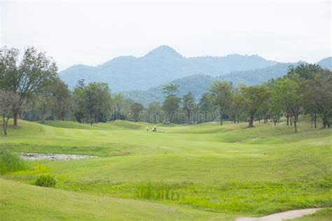 Golf course landscape stock image. Image of grass, tree - 145989423