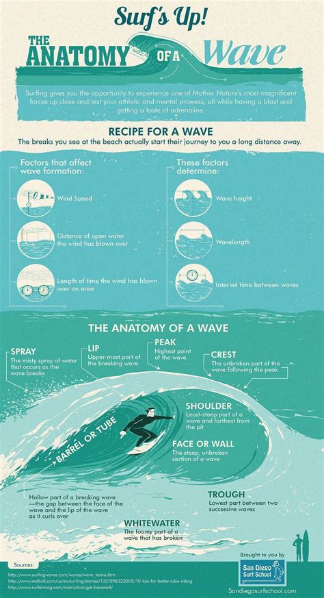 The Anatomy of a Wave #infographic #Surfing #Ocean | Surfing waves, Surfs up, Mavericks surfing