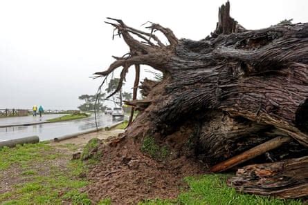 ‘Double-edged sword’: why the badly needed rains in California could ...