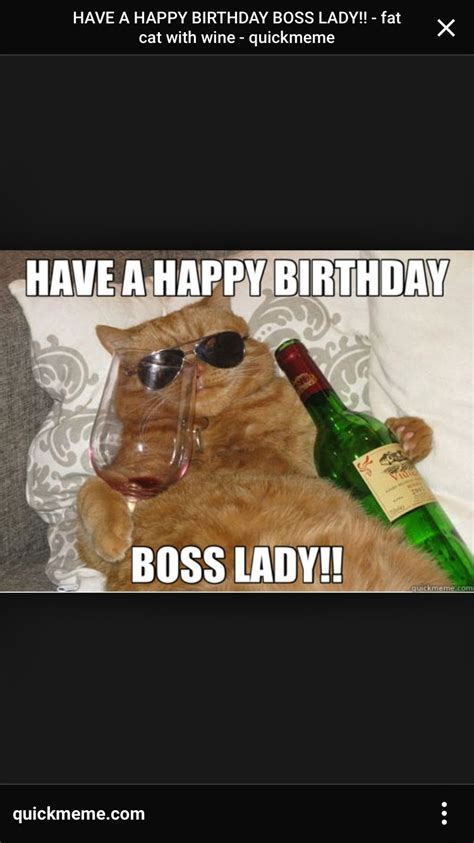 Boss lady Happy Birthday Boss Lady, Fat Cats, Birthday Stuff, Meme, Anniversary, Memes