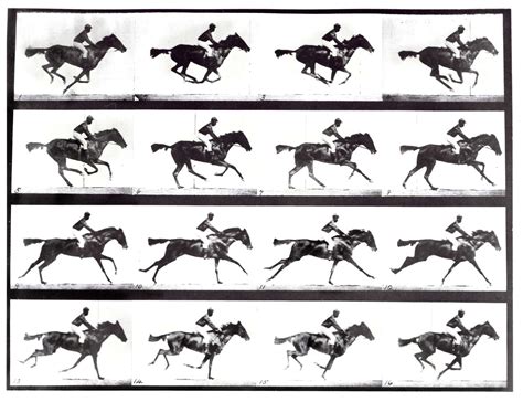 Eadweard Muybridge, the Father of Motion Pictures