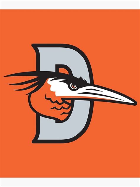 "The Delmarva-Shorebirds Logo" Poster for Sale by pixsuperstar | Redbubble