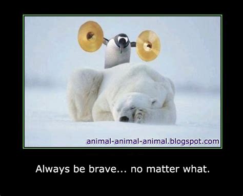 Cool animals memes