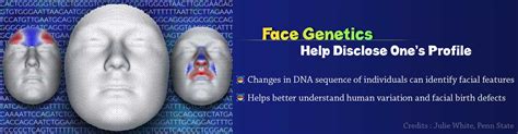 Genetics of Human Face Disclose One’s Profile