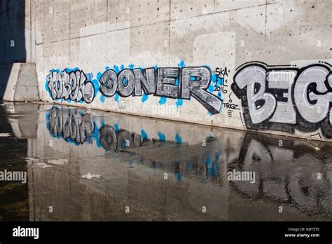 Graffiti on the walls of the Confluence, Los Angeles River, Los Angeles ...