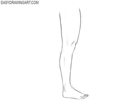 Leg Bones Drawing Easy How To Draw Legs Really Easy Drawing Tutorial ...