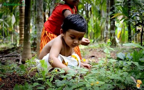 Children picking flowers for Pookkalam | Onam Festival is ce… | Flickr