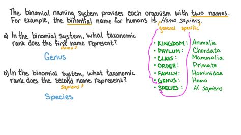 Binomial Nomenclature Example