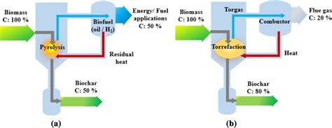 Biochar production processes: a pyrolysis; b torrefaction | Download Scientific Diagram