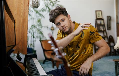 NIALL HORAN ANNOUNCES NICE TO MEET YA UK AND IRELAND TOUR 2020 - Gigs ...