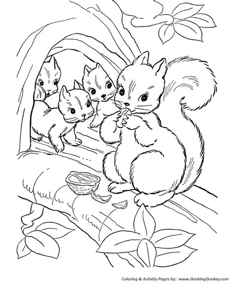 Wild Animal Coloring Pages | Squirrel family Coloring Page and Kids Activity sheet | HonkingDonkey