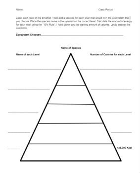 Ecology Trophic Level Practice - Worksheet by Teaching with Frances