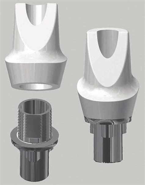 Two-piece (Hybrid) zirconia abutments. These abutments consist of two... | Download Scientific ...