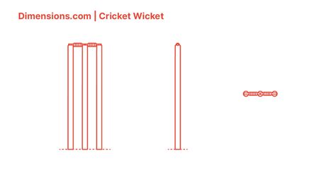 Cricket Stump Dimensions