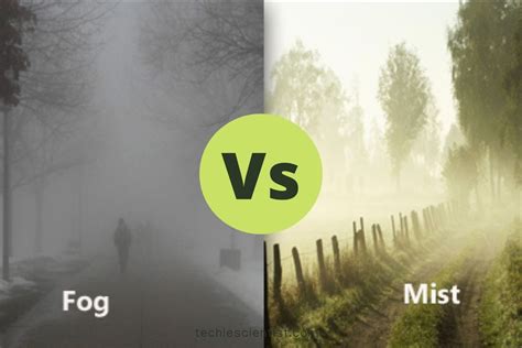 Fog Vs Mist: What’s The Difference? - Techiescientist