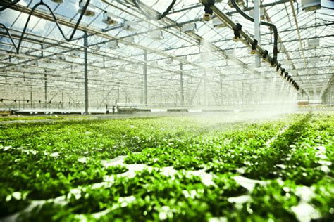 Greenhouse Irrigation | Advanced Chemical Systems, Inc.