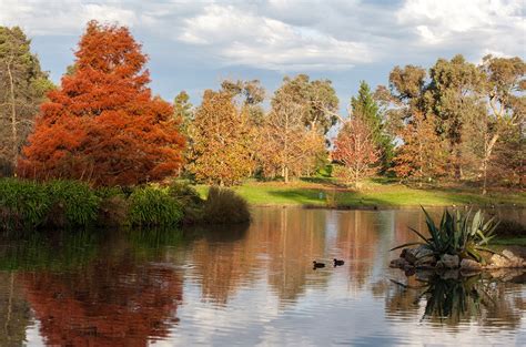 Cruden Farm | One of Victoria's most exciting green spaces