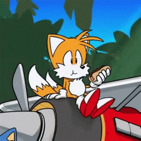 Tails GIF - Tails - GIF-ləri kəşf edin və paylaşın