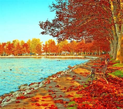 Autumn Park Wallpaper - Download to your mobile from PHONEKY