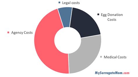 How much does surrogacy cost? Surrogate Mother Cost [2020 update]