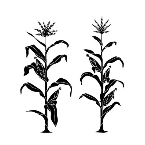 Free Vector | Hand drawn corn silhouette illustration