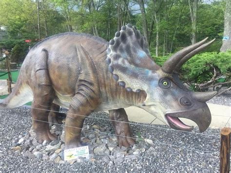 Tee Rex Dinosaur Mini Golf In Connecticut Is Insanely Fun