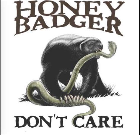 Honey Badger don't care! - Honey Badger Photo (38506719) - Fanpop