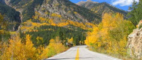 Swingle Shares Colorado Fall Foliage Drives | Tree and Lawn Care Services