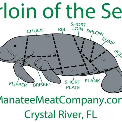 Manatee Meat Company - 36th Annual Florida Manatee Festival - Crystal River - Fl - United States ...