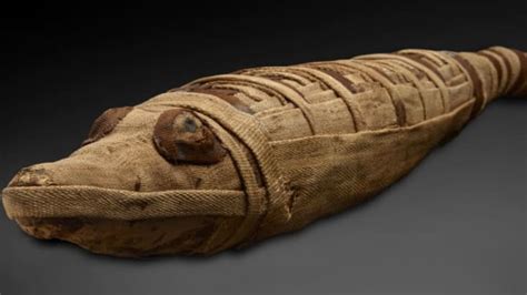 18 Mummies From Peru and Egypt Come to the American Museum of Natural History | Mental Floss