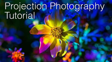 Projector Photography Tutorial