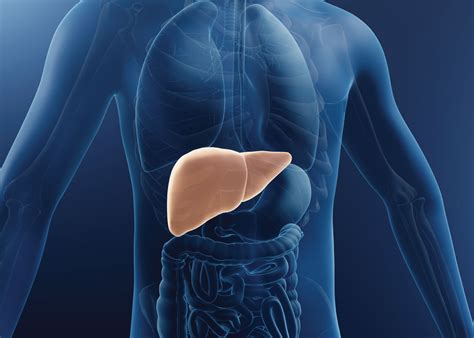 What is Hepatic Steatosis? - Dr. William Focazio