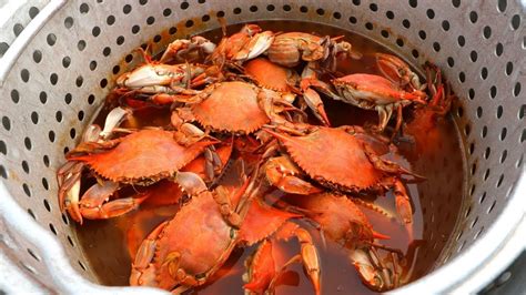 EPIC BLUE CRAB BOIL! - YouTube