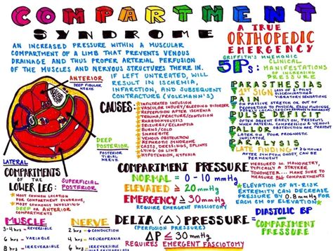 Compartment Syndrome Graphic | ALiEM