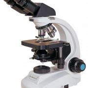 Microscope PNG Clipart | PNG All