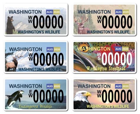 Personalized License plates — Automotive Style for Species Conservation | by The Washington ...