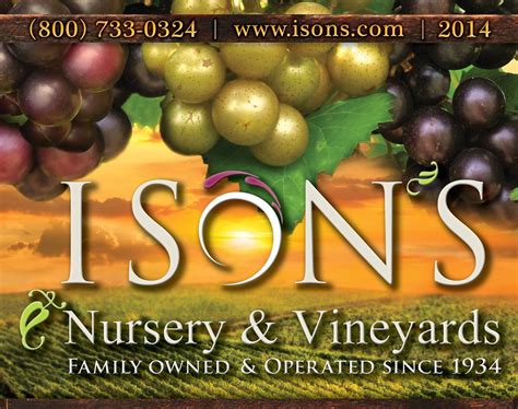 Ison's Nursery & Vineyard | Brooks GA