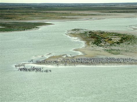 Lake Eyre flows to life | The Advertiser