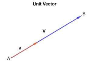 Unit vector - Explanation and Examples