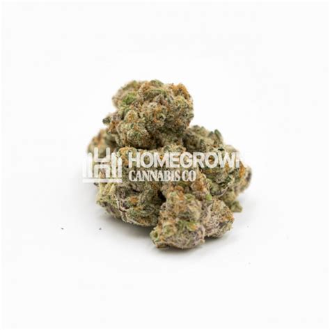 GMO Feminized Cannabis Seeds - Strain info | Homegrown Diaries