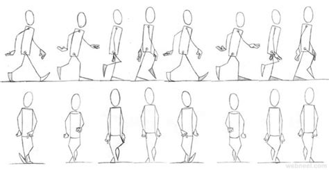 25 Best Walk Cycle Animation Videos and keyframe illustrations