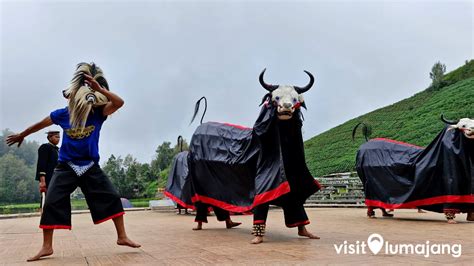 Pesona Kesenian Bantengan yang Dapat Ditemukan Di Kawasan Tengger | VisitLumajang