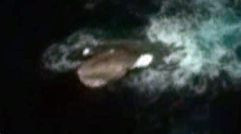 UFO SIGHTINGS DAILY: 60 Meter Giant Squid Found On Google Earth, The ...