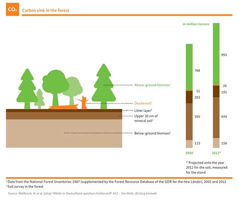 The forests as climate protectors – still a carbon sink: BMEL - Bundeswaldinventur